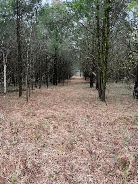 134 Almaville Rd, Smyrna, Lots & Land,  for sale, Maresa  Morrow, Onward Real Estate